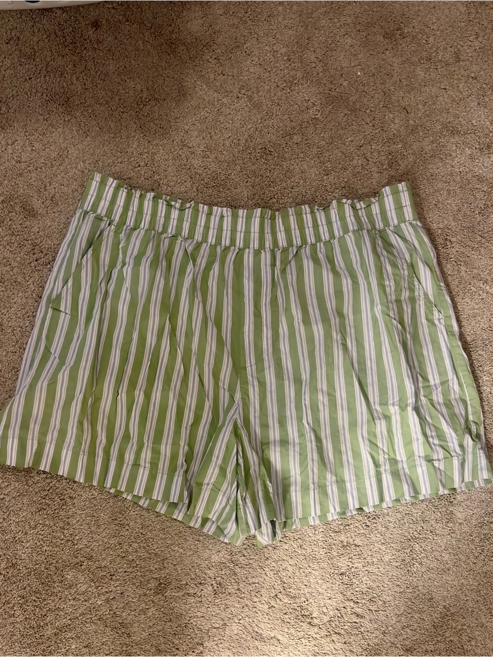 Aerie Green Striped Shorts
Size XXL